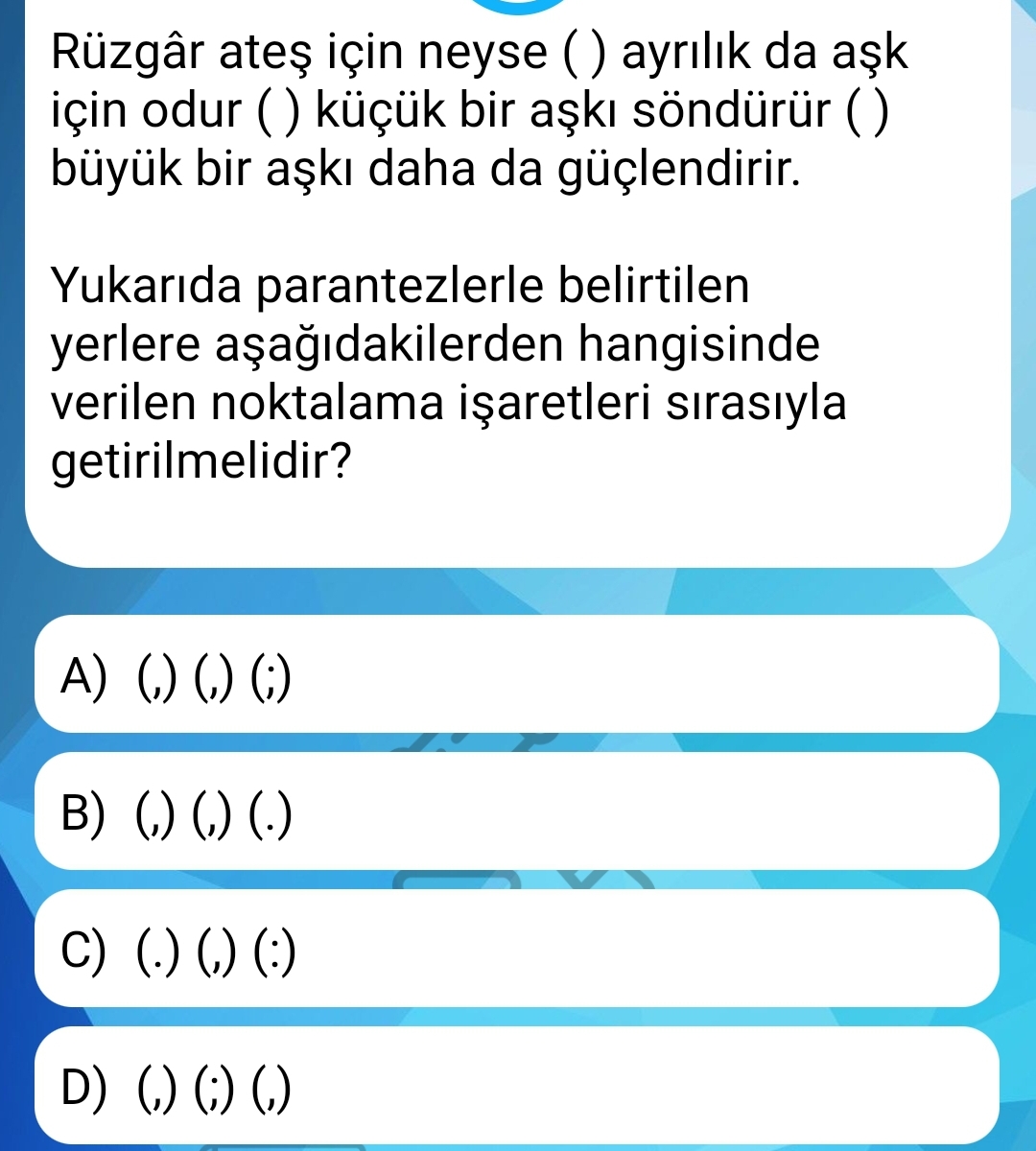 Soru Görseli